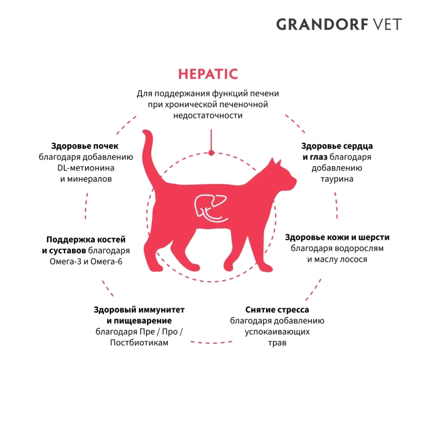 Сухой корм Grandorf VeterinaryHepatiс для кошек при заболеваниях печени, 2 кг фото 2
