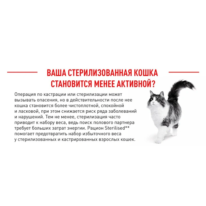 Сухой корм Royal Canin Sterilised для кастрированных котов и стерилизованных кошек, 2 кг фото 19