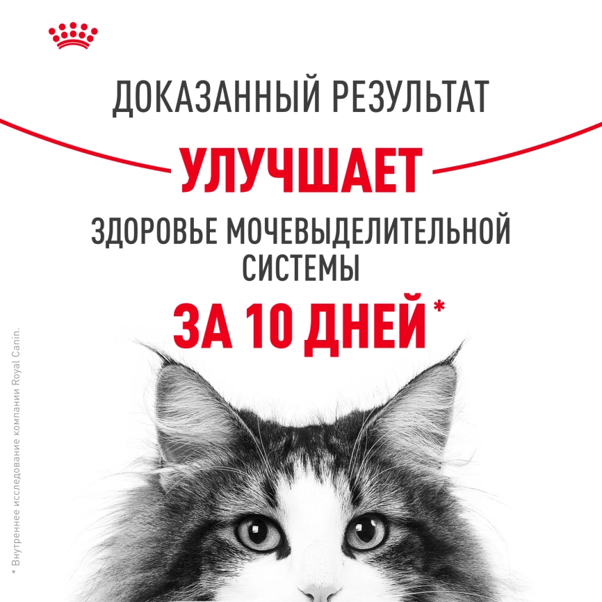 Влажный корм Royal Canin Urinary Care в соусе для кошек для поддержания здоровья мочевыделительной системы, пауч, 85 г фото 4