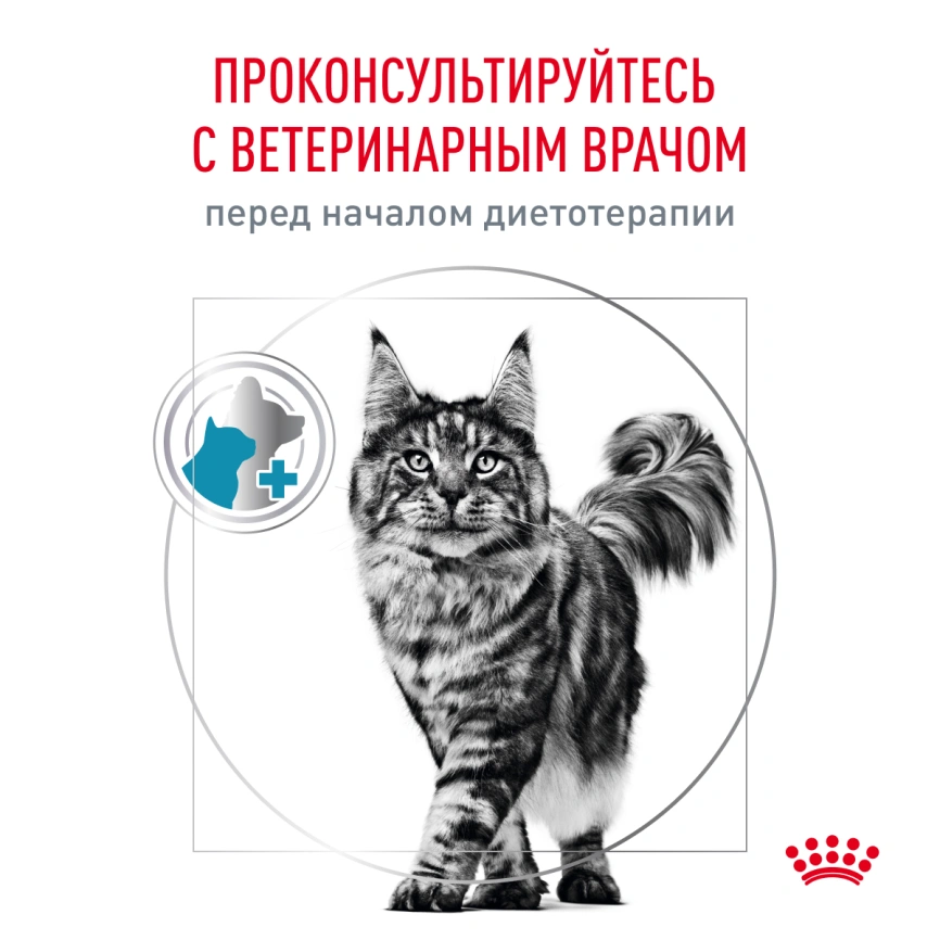 Сухой корм Royal Canin Hypoallergeniс для кошек, 2 кг фото 8