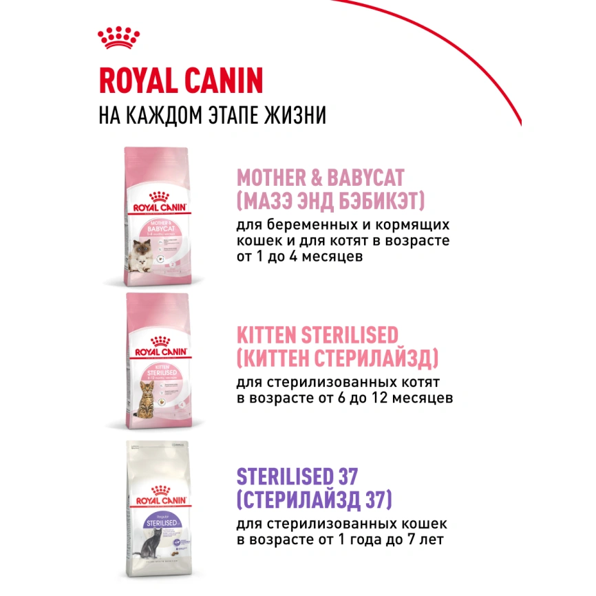 Сухой корм Royal Canin Kitten для котят, 300 г фото 19