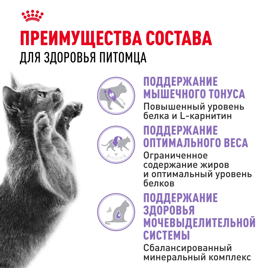 Сухой корм Royal Canin Sterilised для кастрированных котов и стерилизованных кошек, 400 г фото 10