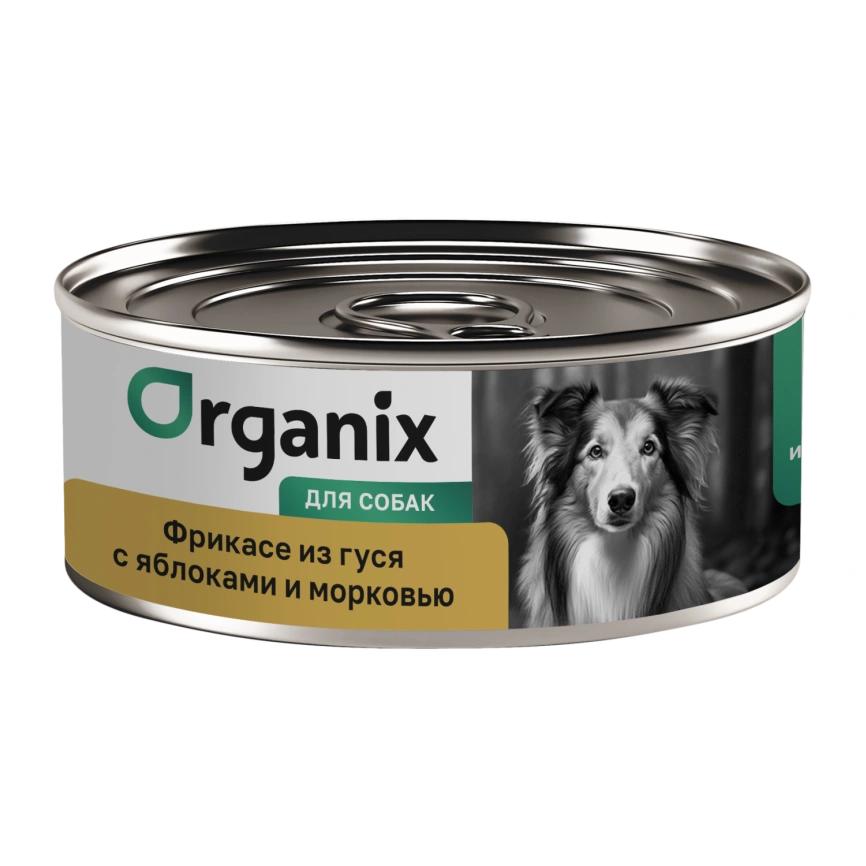 Влажный корм Organix Preventive Line Apple & Carrot для собак Фрикасе из гуся с яблоками и морковкой, с яблоком и морковью, 100 г фото 1
