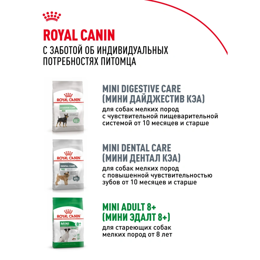 Сухой корм Royal Canin Mini Adult для взрослых собак, 8 кг фото 15