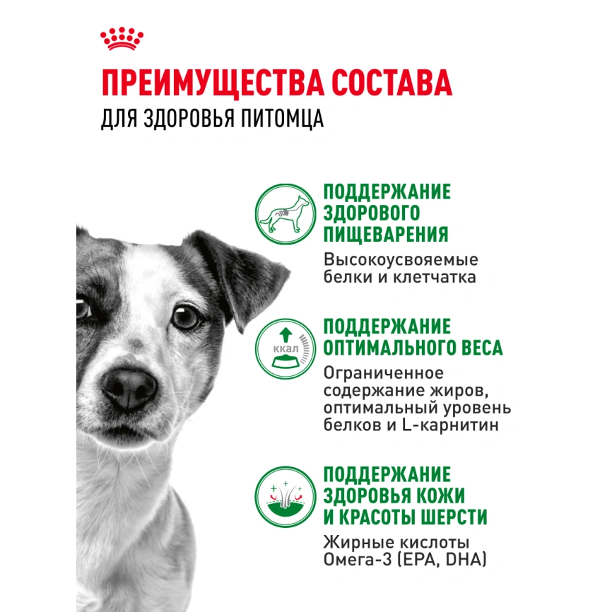 Влажный корм Royal Canin Mini Adult в соусе для взрослых собак мелких пород старше 10 месяцев, пауч, 85 г фото 3