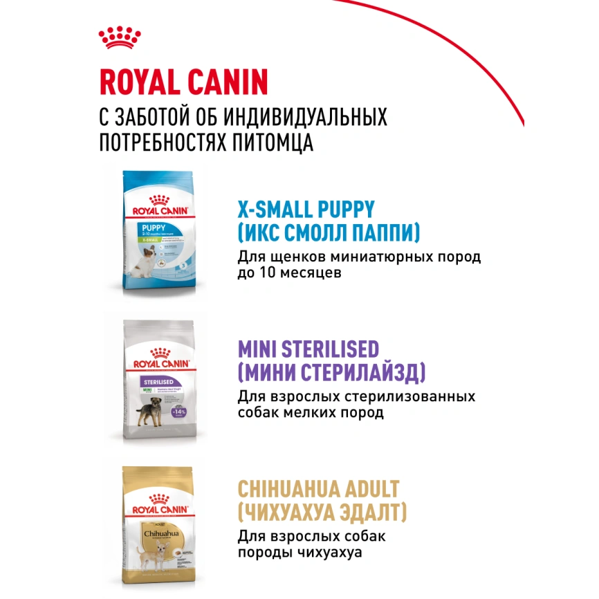 Сухой корм Royal Canin X-Small Adult для собак, 3 кг фото 11