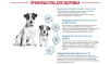 фото 16