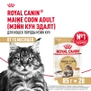 фото 13