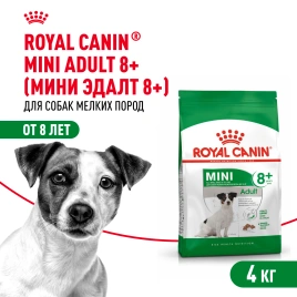 Сухой корм Royal Canin Mini Adult 8+ для пожилых собак, 4 кг