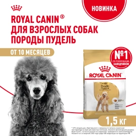 Сухой корм Royal Canin Poodle Adult для взрослых собак, 1.5 кг