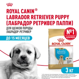 Сухой корм Royal Canin Labrador Retriever Puppy для щенков, 3 кг