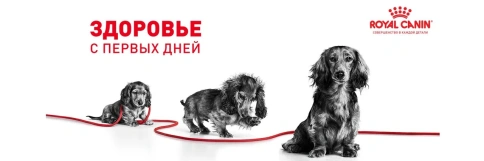 Сухой корм Royal Canin Giant Starter Mother & Babydog для щенков и собак, 4 кг фото 15