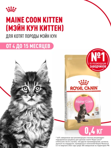 Сухой корм Royal Canin Kitten Maine Coon для котят, 400 г фото 12