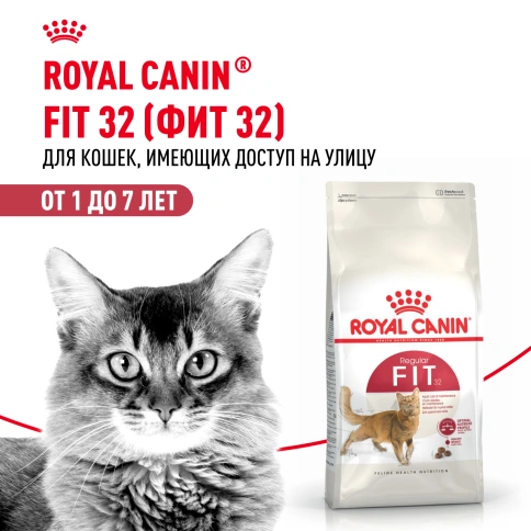Сухой корм Royal Canin Fit для кошек, 2 кг фото 14