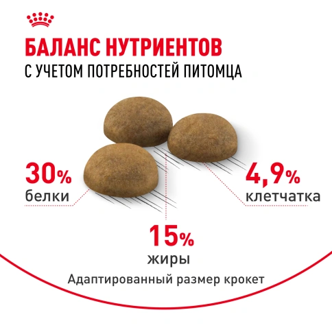 Сухой корм Royal Canin Indoor Long Hair для кошек, 400 г фото 4
