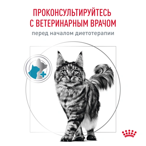 Сухой корм Royal Canin Skin & Coat для кошек, 1.5 кг фото 8