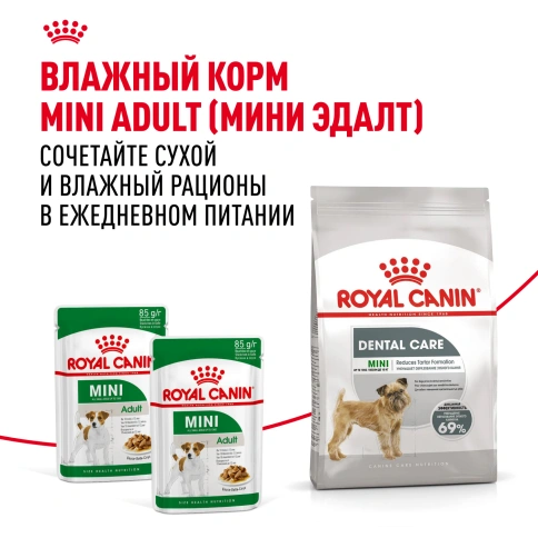 Сухой корм Royal Canin Mini Dental Care для собак, 3 кг фото 8