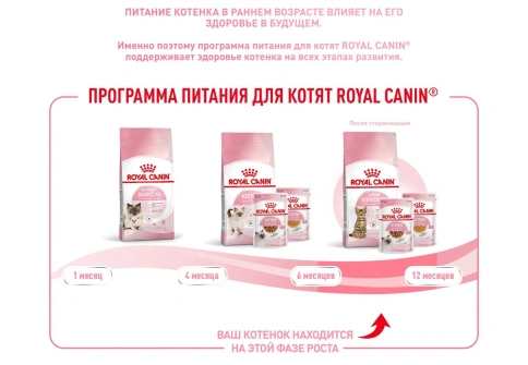 Сухой корм Royal Canin Kitten Sterilised для котят, 400 г фото 16