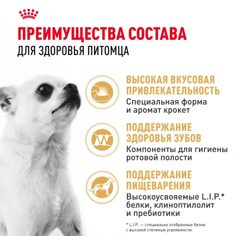Сухой корм Royal Canin Chihuahua Adult для собак породы чихуахуа, 1.5 кг фото 3