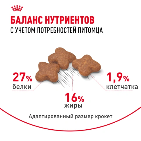 Сухой корм Royal Canin Mini Adult для взрослых собак, 2 кг фото 10