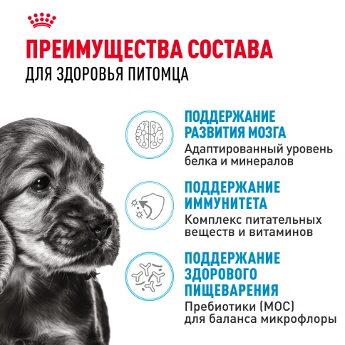 Сухой корм Royal Canin Mini Puppy для щенков, 800 г фото 3