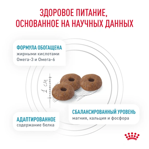Сухой корм Royal Canin Skin & Coat для кошек, 1.5 кг фото 4