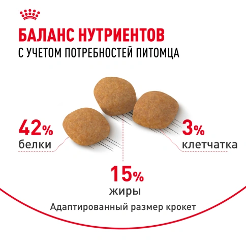 Сухой корм Royal Canin Protein Exigent для кошек, 400 г фото 4
