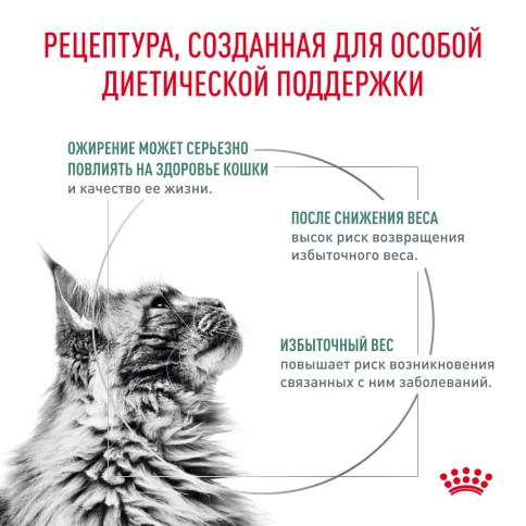 Сухой корм Royal Canin Satiety Weight Management для кошек для снижение веса, 1.5 кг фото 3