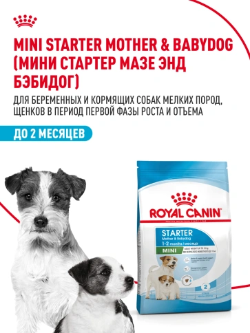Сухой корм Royal Canin Mini Starter Mother & Babydog для щенков и кормящих сук, 3 кг фото 12