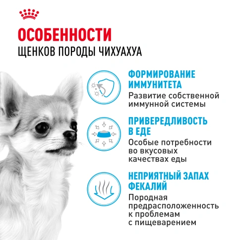 Сухой корм Royal Canin Chihuahua Puppy для щенков породы чихуахуа, 1.5 кг фото 2