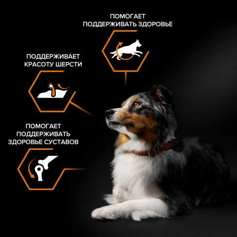 Сухой корм Purina Pro Plan Adult Small & Mini  для взрослых собак средних и мелких пород, курица и рис, 3 кг фото 2