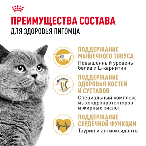 Сухой корм Royal Canin British Shorthair для кошек породы британская короткошерстная, 400 г фото 3