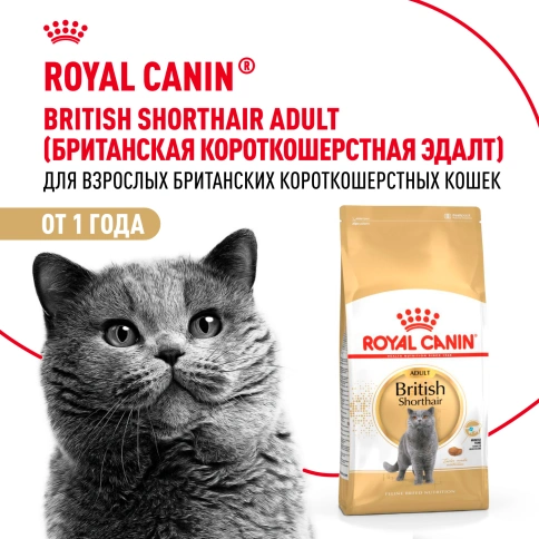 Сухой корм Royal Canin British Shorthair для кошек породы британская короткошерстная, 2 кг фото 11