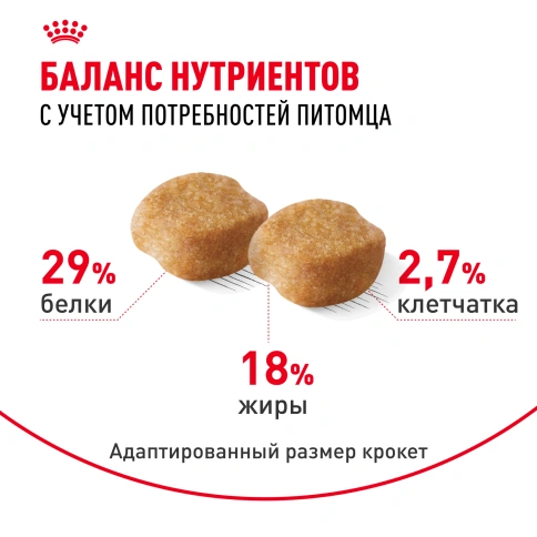 Сухой корм Royal Canin Yorkshire Terrier Adult 8+ для собак породы йоркширский терьер, 500 г фото 6