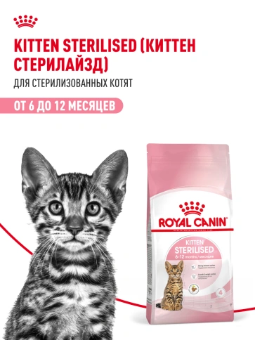 Сухой корм Royal Canin Kitten Sterilised для котят, 3.5 кг фото 19