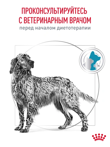 Сухой корм Royal Canin Hypoallergenic для собак, 4 кг фото 21