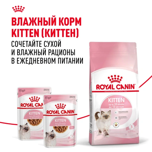 Сухой корм Royal Canin Kitten для котят, 4 кг фото 8