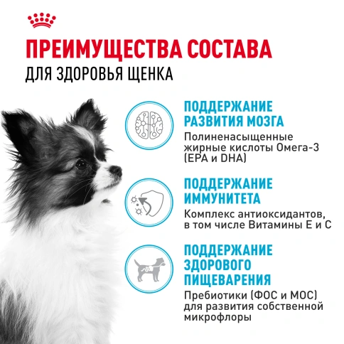 Сухой корм Royal Canin X-Small Puppy для щенков, 500 г фото 3