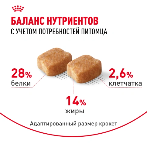 Сухой корм Royal Canin Dachshund Adult для собак породы такса, 7.5 кг фото 4