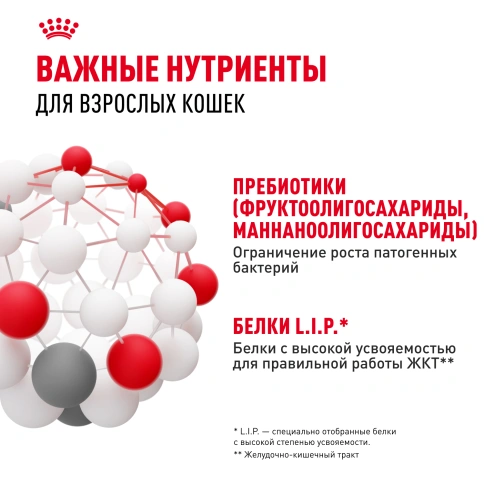 Сухой корм Royal Canin Digestive Care для кошек, 400 г фото 5