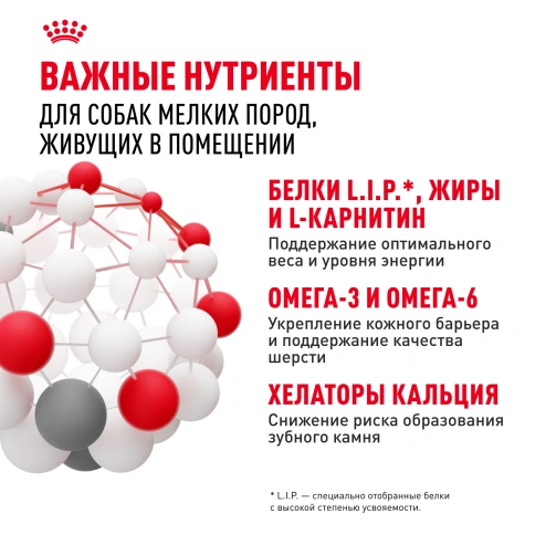 Сухой корм Royal Canin Mini Indoor Adult для собак, 10 кг фото 6