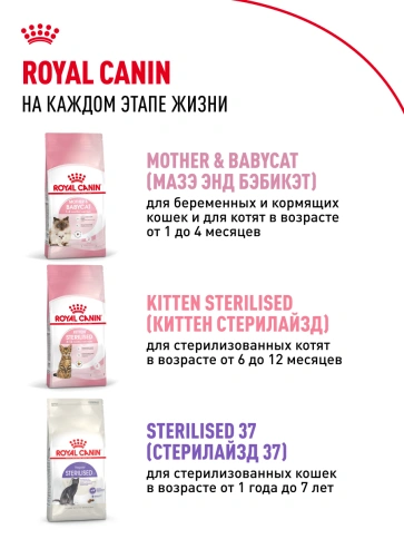 Сухой корм Royal Canin Kitten для котят, 2 кг фото 15