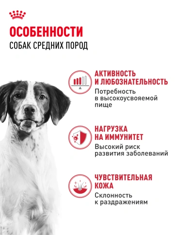 Сухой корм Royal Canin Medium Adult для собак, 15 кг фото 14