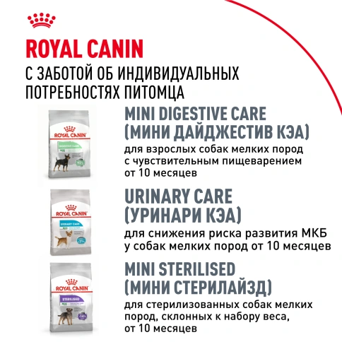 Сухой корм Royal Canin Chihuahua Adult для собак породы чихуахуа, 500 г фото 10