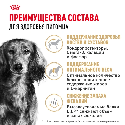Сухой корм Royal Canin Dachshund Adult для собак породы такса, 1.5 кг фото 3