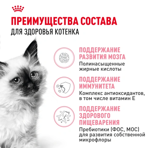 Сухой корм Royal Canin Kitten для котят, 2 кг фото 3