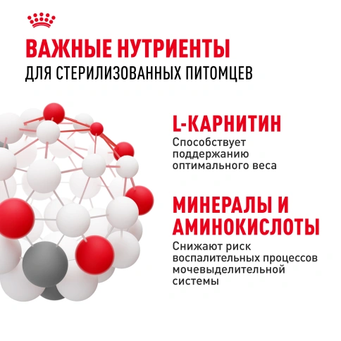Сухой корм Royal Canin Sterilised для кастрированных котов и стерилизованных кошек, 400 г фото 12