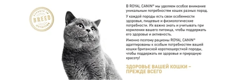 Сухой корм Royal Canin British Shorthair для кошек породы британская короткошерстная, 2 кг фото 15