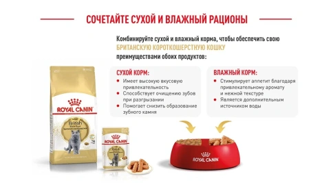 Сухой корм Royal Canin British Shorthair для кошек породы британская короткошерстная, 2 кг фото 16
