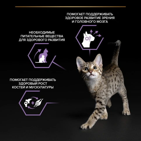 Влажный корм Purina Pro Plan Kitten для котят, с курицей в желе, 85 г фото 3